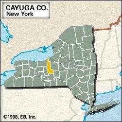 Cayuga County map